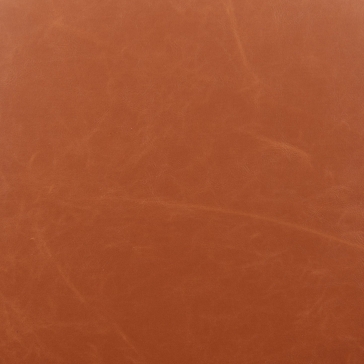 Bellwood Swivel Dining Chair stamps-home-furniture