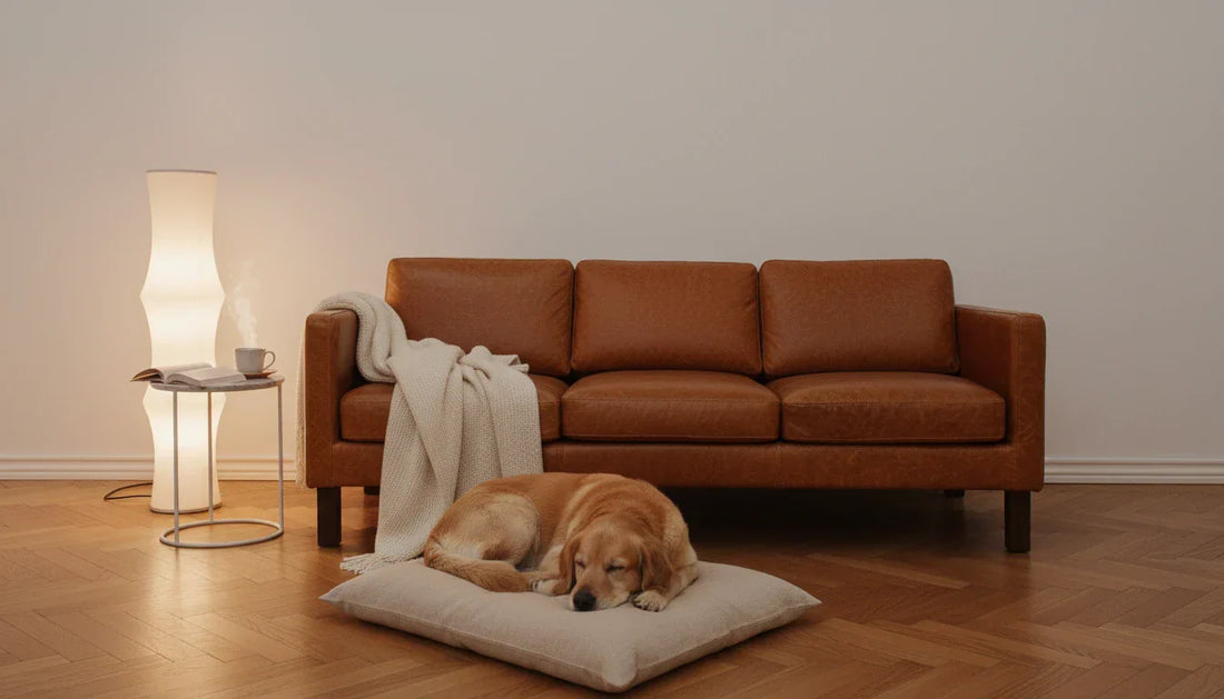 How to Choose the Right Sofa for a Small Living Room (Without Sacrificing Comfort)