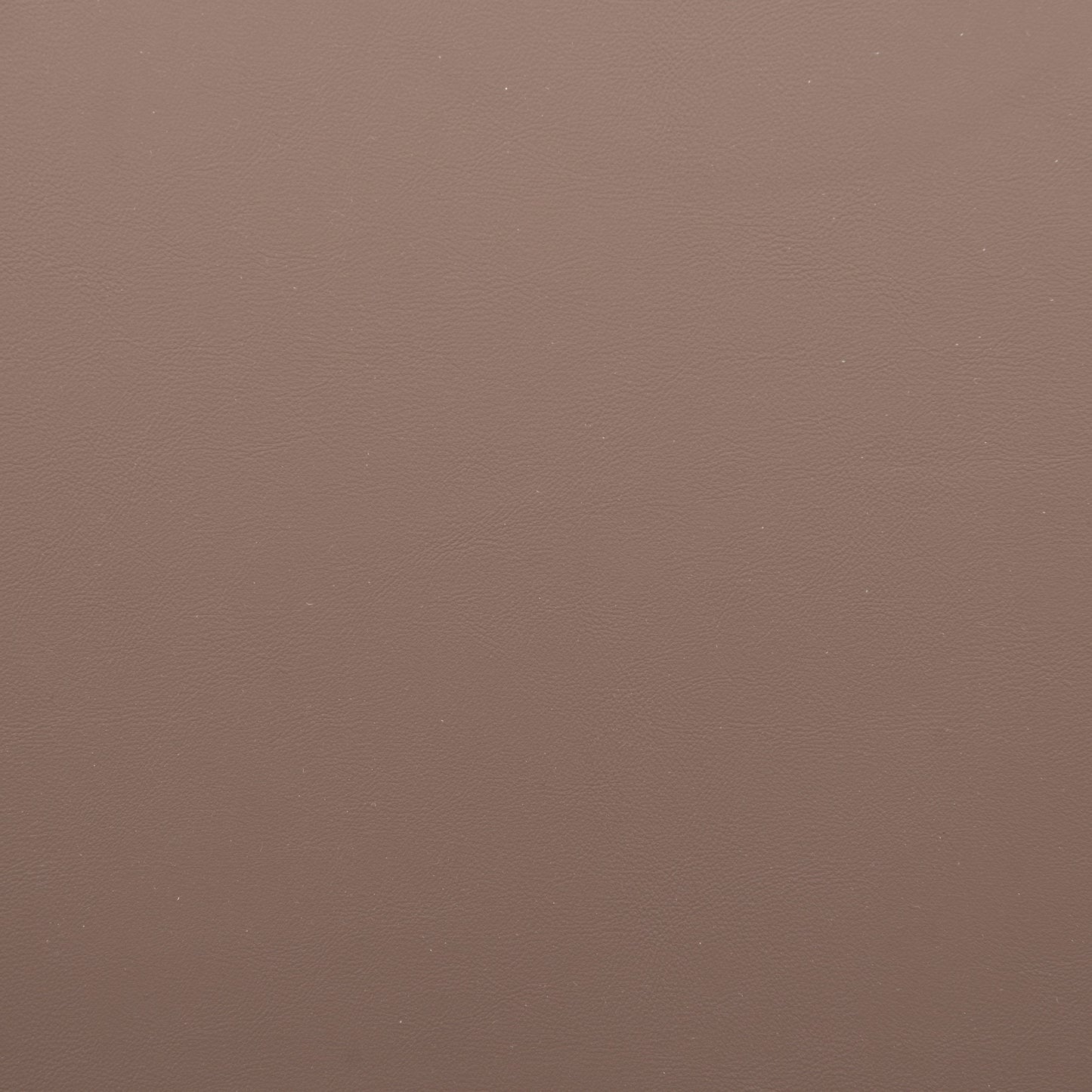 Appleton Dining Chair stamps-home-furniture