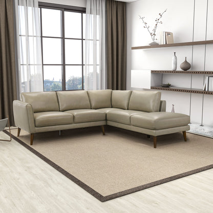 Benson Right-Facing Sectional Sofa