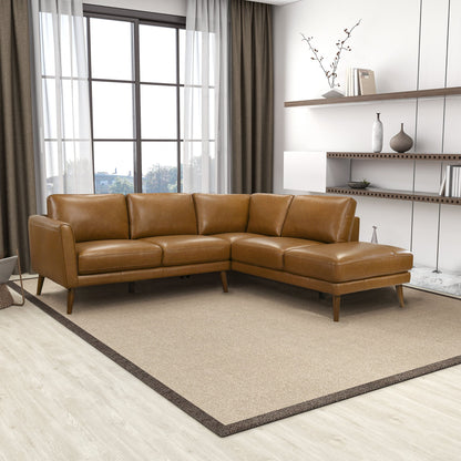 Benson Right-Facing Sectional Sofa