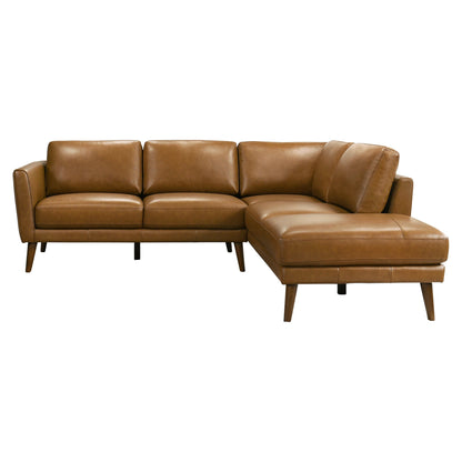 Benson Right-Facing Sectional Sofa