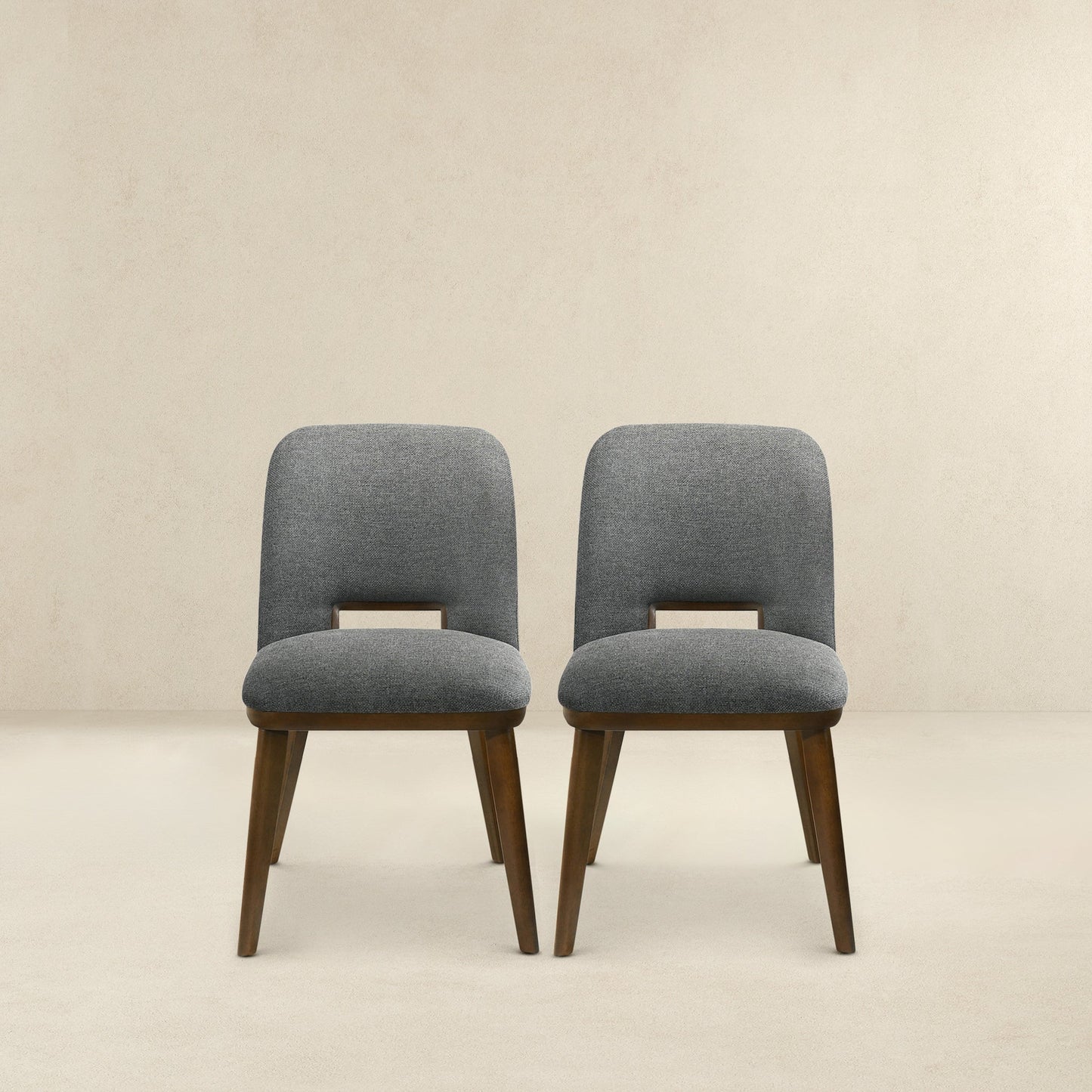 Lucian Dining Chairs - Set Of 2