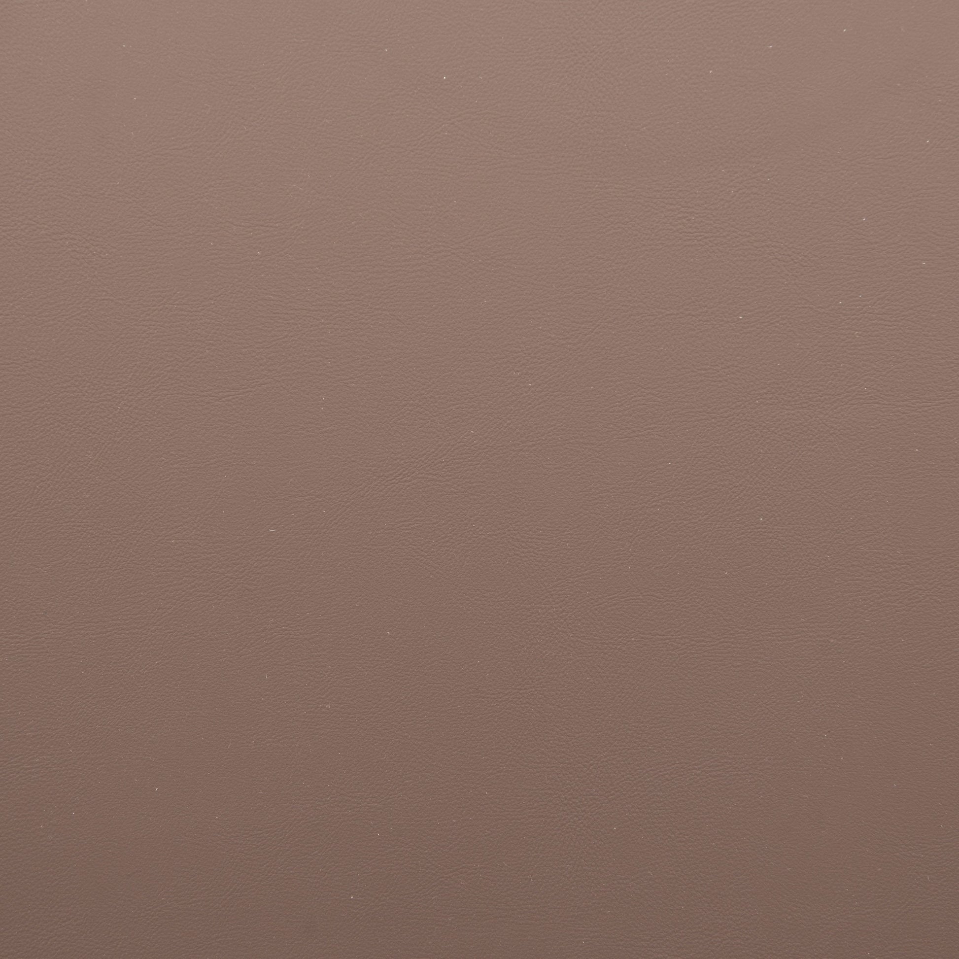 Colton Dining Chair stamps-home-furniture