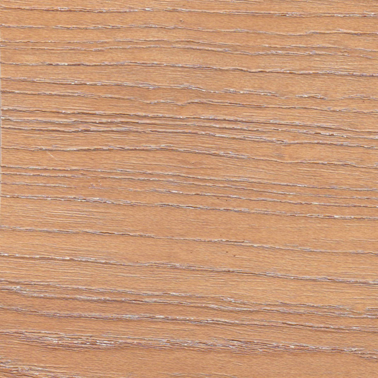 Colton Dining Chair stamps-home-furniture