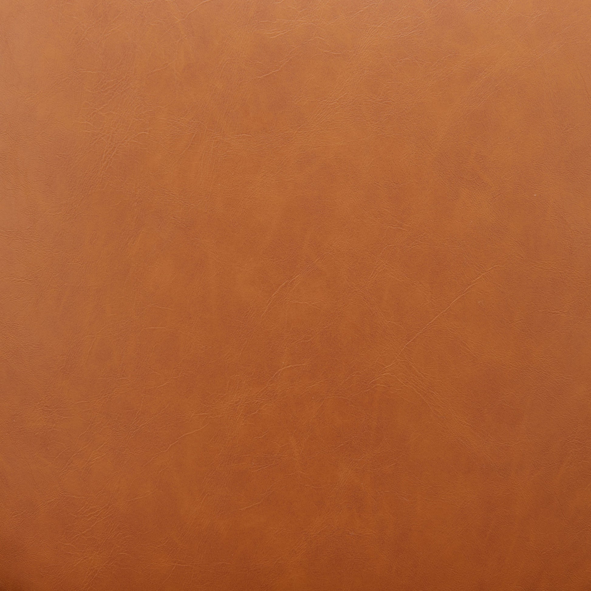 Easton Dining Chair stamps-home-furniture