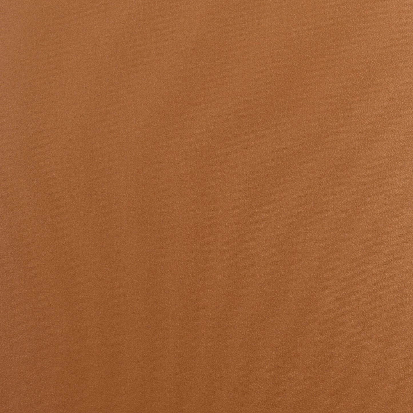 Elwood Armchair stamps-home-furniture