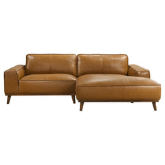Leather Sofas