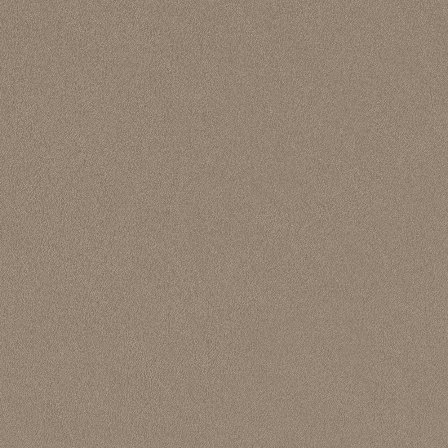 Holliston Dining Chair stamps-home-furniture