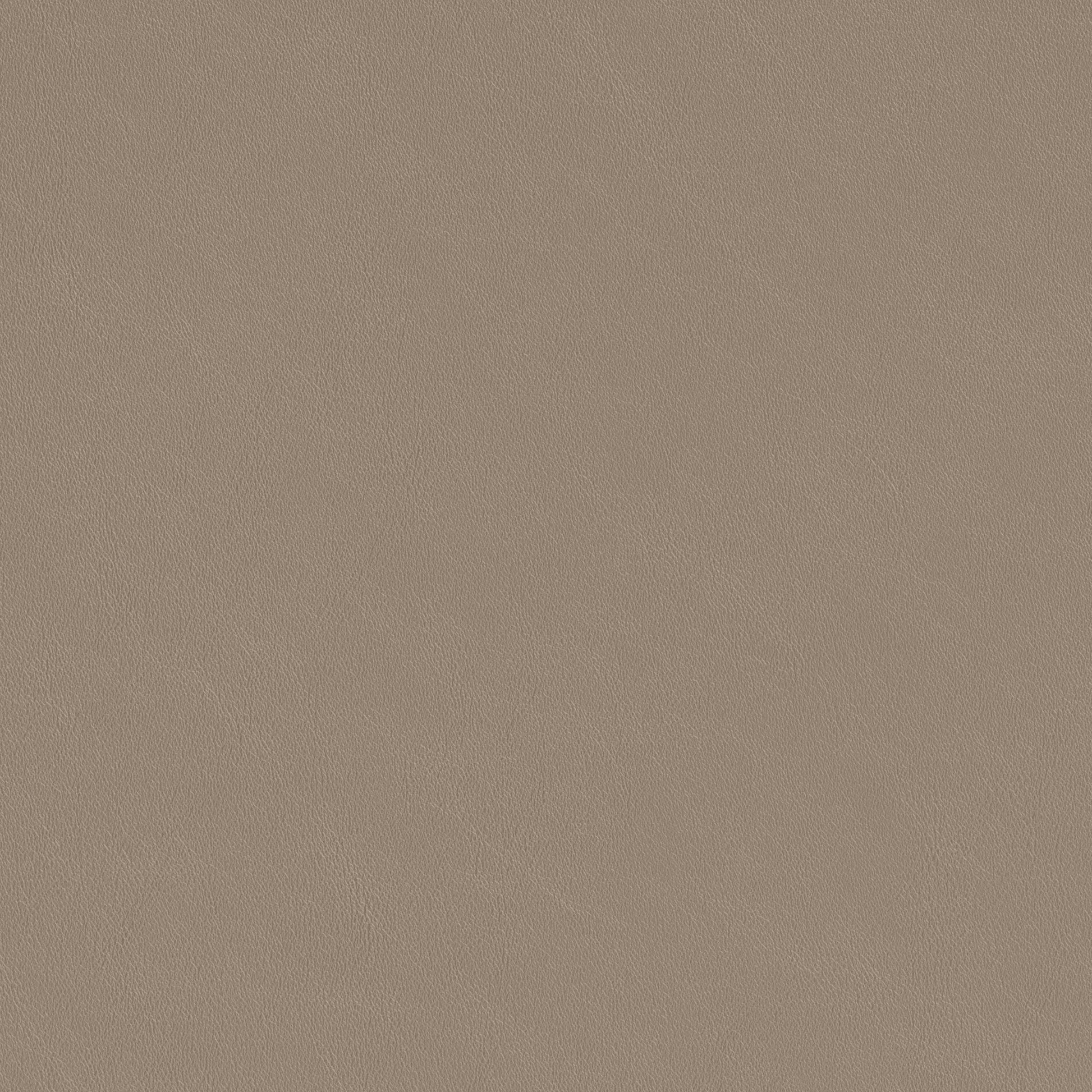 Holliston Dining Chair stamps-home-furniture