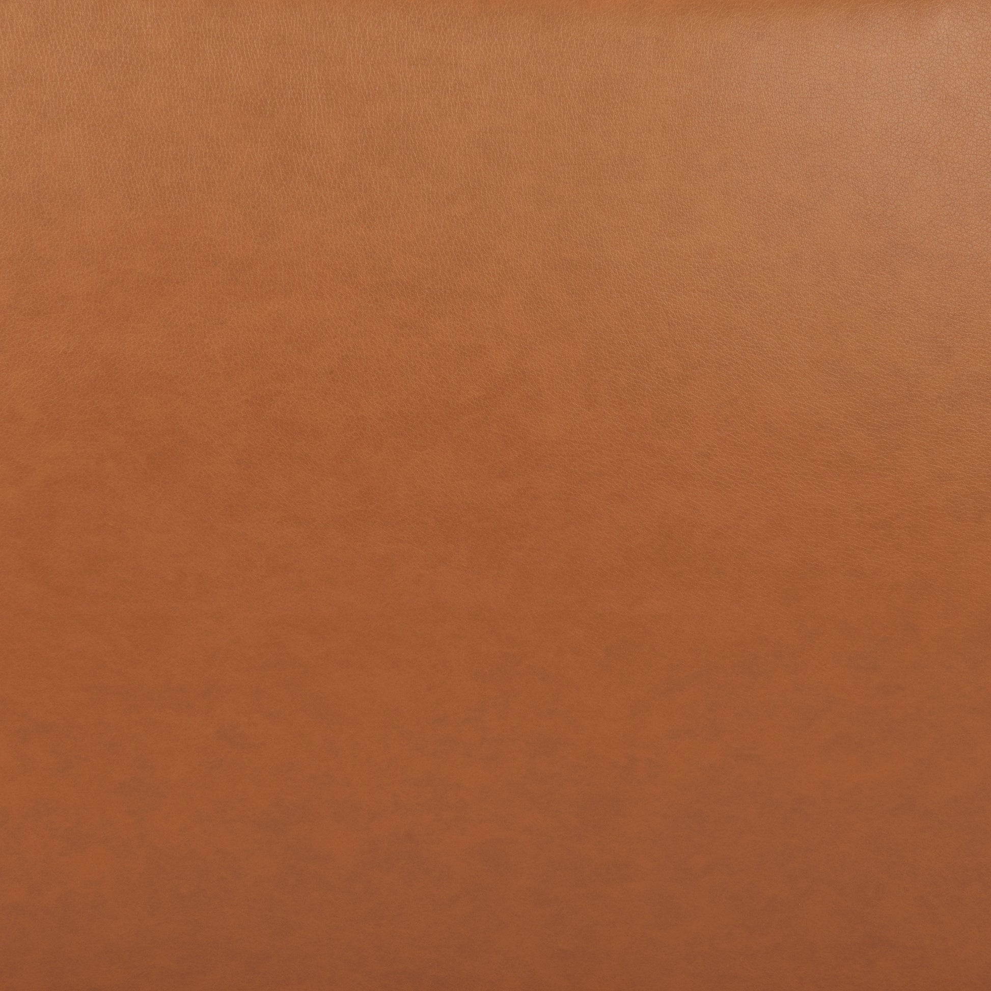 Holloway Accent Chair stamps-home-furniture