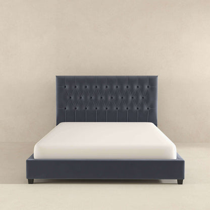 Solenne Velvet Platform Bed