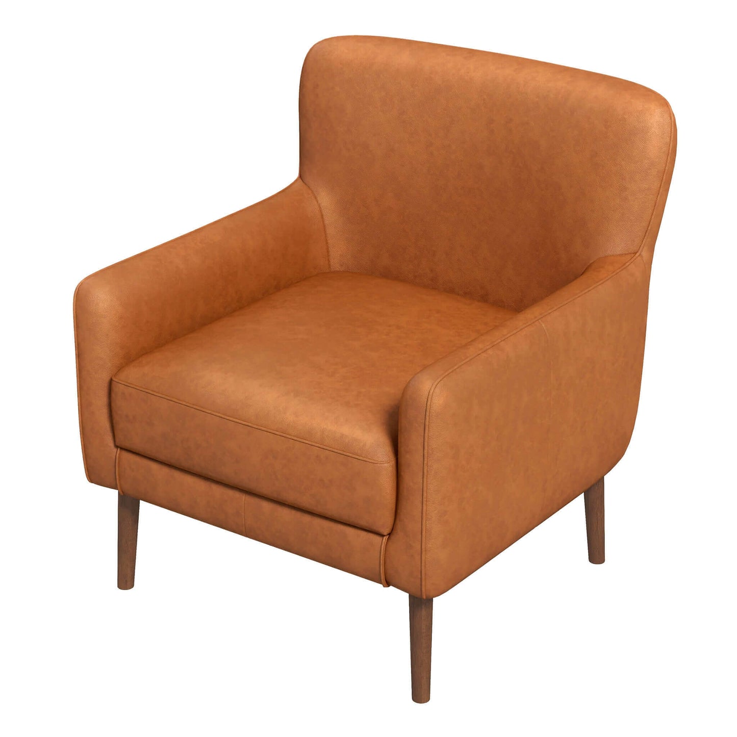 Florinda Leather Lounge Chair